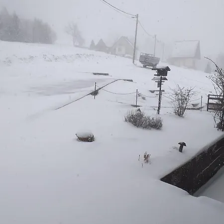 Apartment Skender 3* *