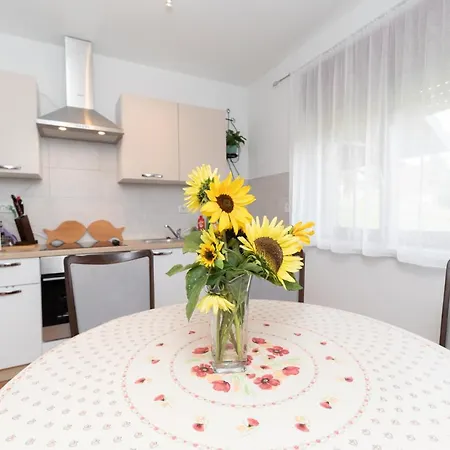 Apartment Skender 3* Ravna Gora