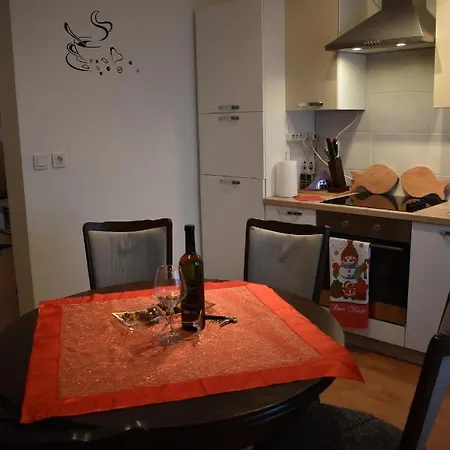 Skender 3* Apartment Ravna Gora