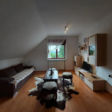 Apartment Skender 3* *