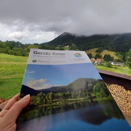 Apartment Skender 3*