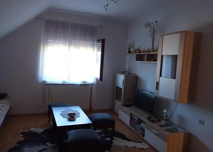 Appartement Skender 3* Ravna Gora