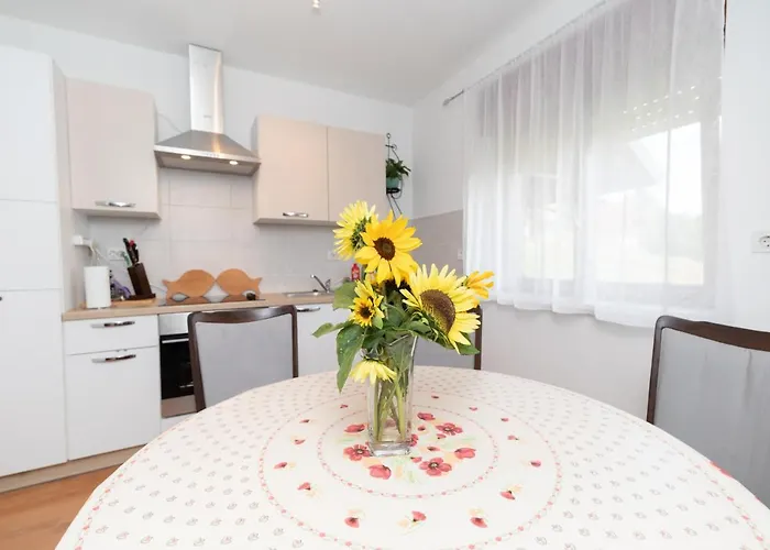 Appartement Skender 3* Ravna Gora