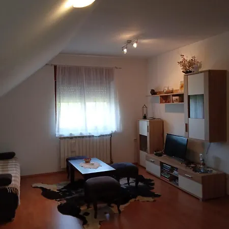 Skender 3* Apartament Ravna Gora