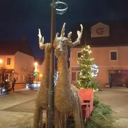 Apartmán Skender 3*