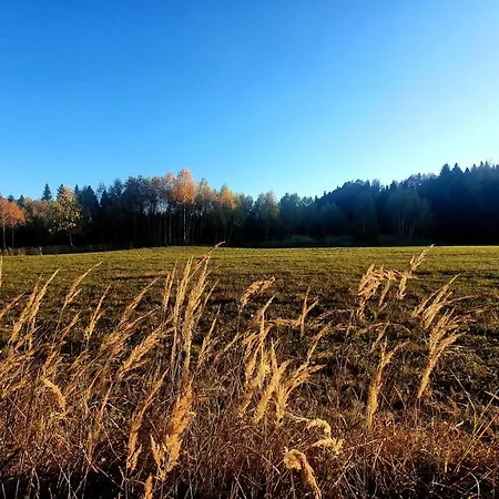 Skender 3* Apartament