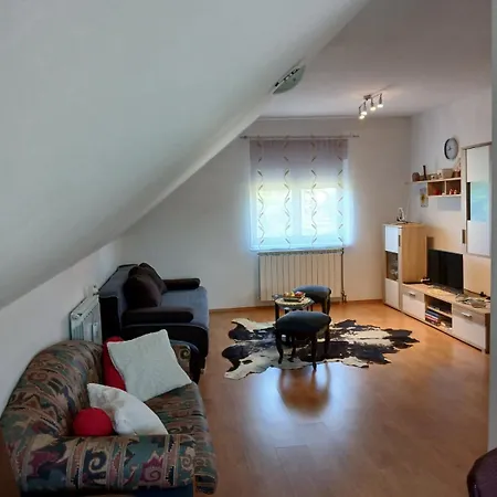Skender 3* Apartmán Ravna Gora