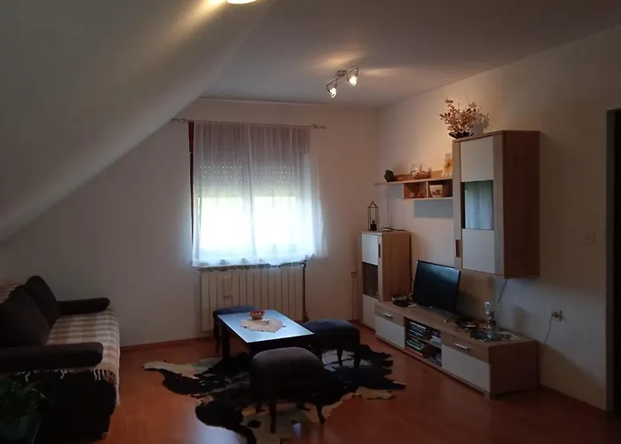 Skender 3* Apartmán Ravna Gora