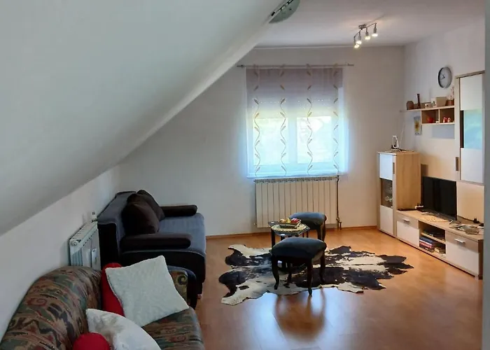Skender 3* Apartmán Ravna Gora